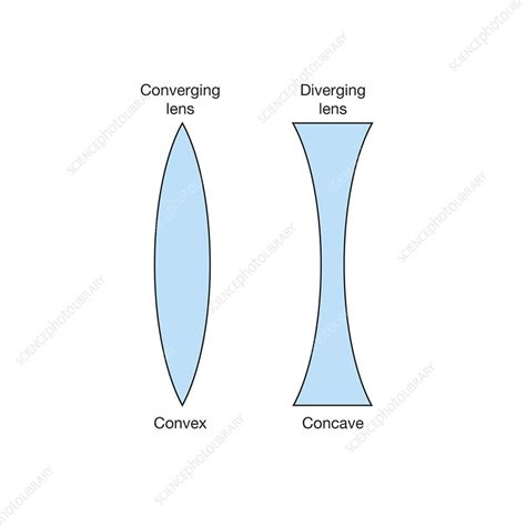 Concave And Convex Diagram