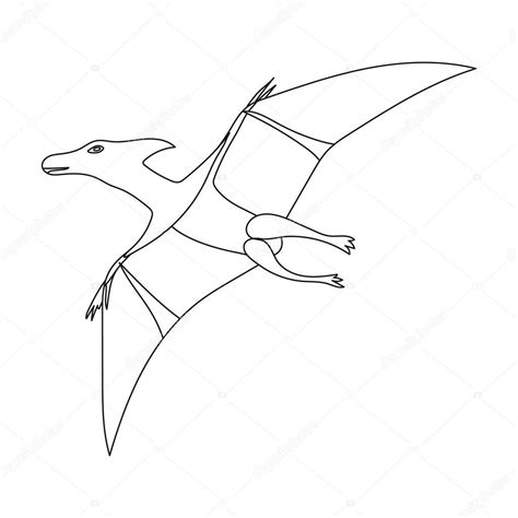 Dinosaur Pterodactyloidea icon in outline style isolated on white ...