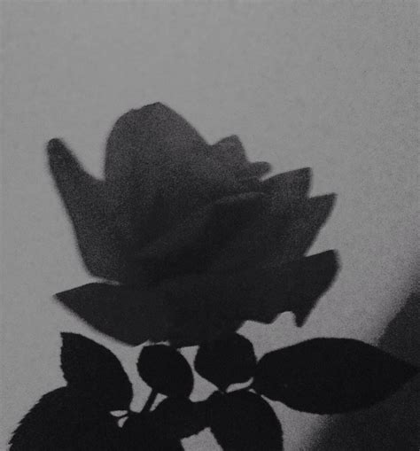 Aesthetic Black Flowers Images