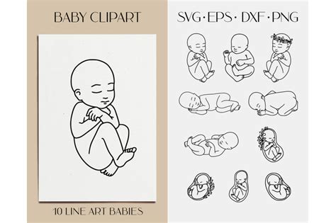 Newborn baby svg clipart. Embryo, fetus. New baby line vector art By ...