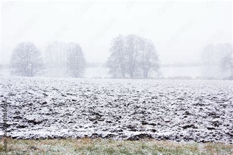 Snowy field Stock Photo | Adobe Stock