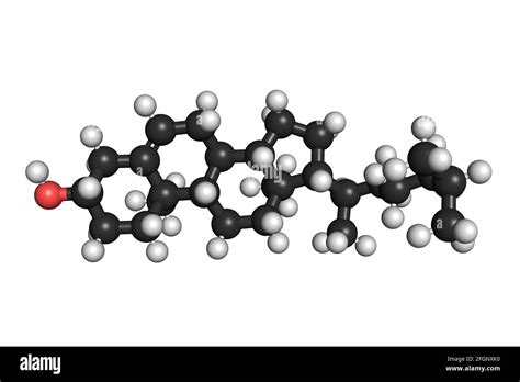 Cholesterol molecule lipid organic 3D render chemical structure Stock ...