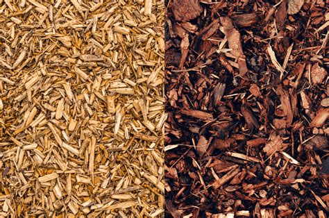 Wood Chips Vs Mulch: Which One Is Better For Your Garden?