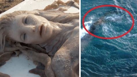 Pictures Of Real Mermaid Sightings