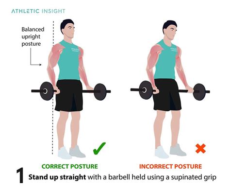 How to Do Barbell Curl: Variations, Proper Form, Techniques, Barbell ...