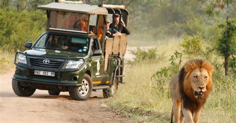 Kruger National Park Safari Prices l Tour & Package Costs | Safari Near