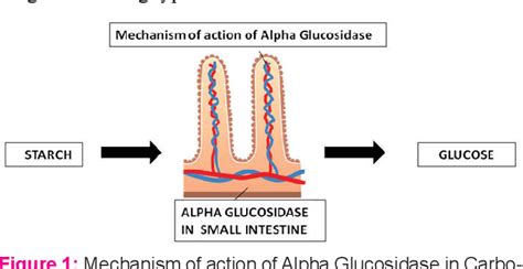 Figure 1 from Inhibitory Action Against Alpha Glucosidase by Selected ...