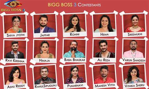 Bigg Boss Telugu 3: Contestants Revealed Pre Premiere, See List