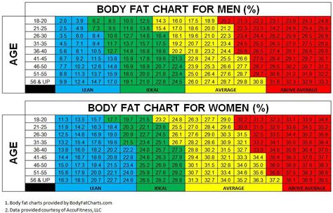 How To Interpret Your Body Fat Test Written by Calvin Sun Body fat ...