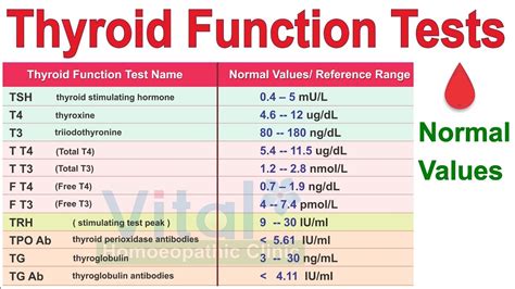 Thyroid Tsh Levels Chart For Men