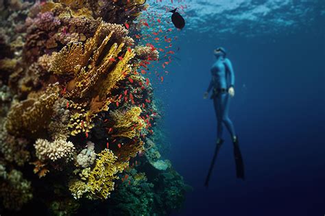 10 Reasons to Ensure Red Sea Diving in Egypt Makes your Bucket List