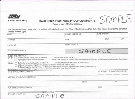 How To Get An Sr22 Form In Texas - Form : Resume Examples #xM8pnEaKY9