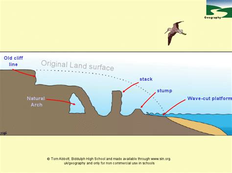 Coastal Erosion Diagrams PPT for 7th - 12th Grade | Lesson Planet