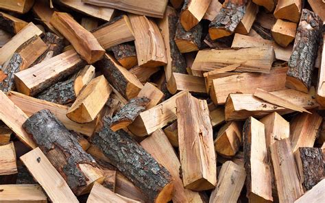 Forest Service Offering Free Personal use Firewood Cutting Beginning ...