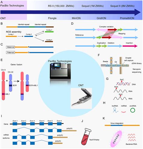 Application of third-generation sequencing in cancer research