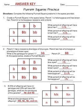 Punnett Square Practice by Catherine's Creations | TPT