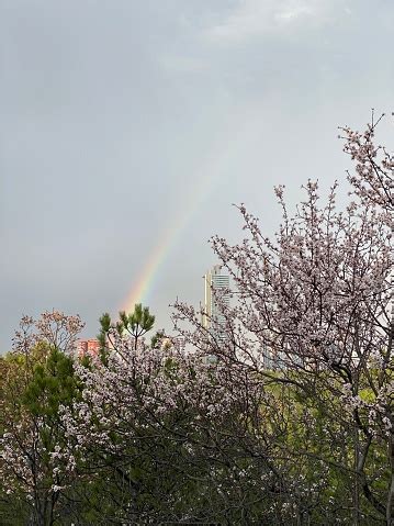 Turkey Ankara Cankaya Corona Days Of Spring Rain Weather Rainbow Stock ...