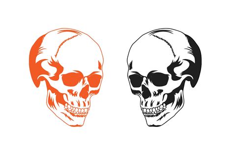 Human Skull Vector Art Graphic by Vector King · Creative Fabrica