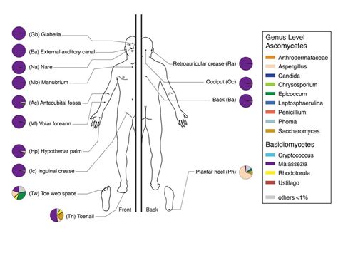 Fungal Diversity2 – NIH Director's Blog