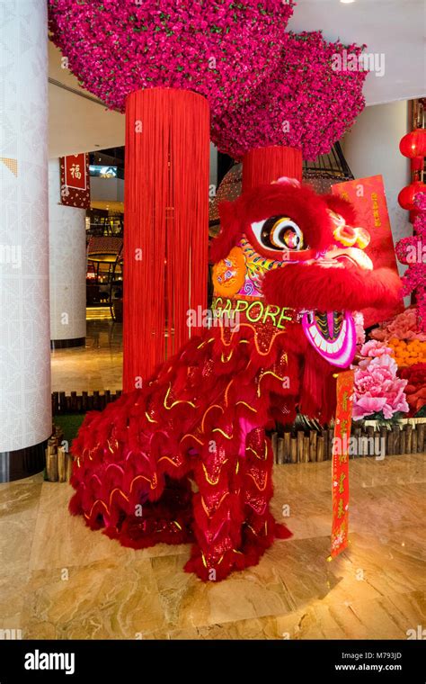 Decorations and Chinese dragon for celebrating Chinese New Year set up ...