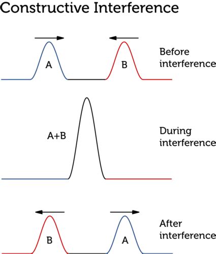 Wave Interference ( Read ) | Physical Science | CK-12 Foundation