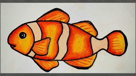 Fish Drawings With Color