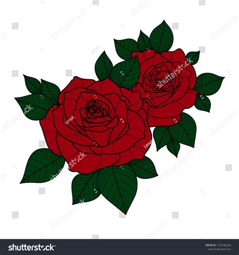 Hand Drawing Red Color Roses Flower Stock Vector (Royalty Free ...