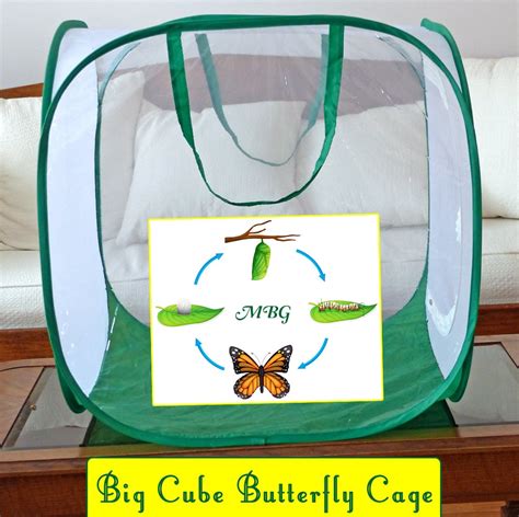 Monarch Butterfly Cage for Raising Butterflies