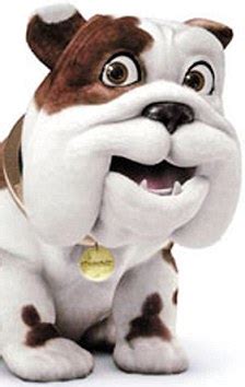 Teenage pupils 'believe Winston Churchill is TV advert dog' | Daily ...