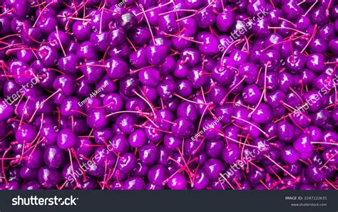 62,644 Cherry Purple Colour Images, Stock Photos & Vectors | Shutterstock