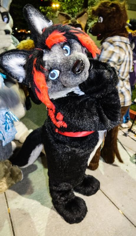 Rainfurrest 2015 - Kuhori and Grave's Fursuiting Adventures