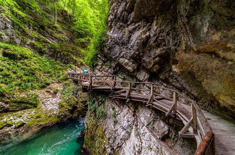 20 Beautiful Vintgar Gorge Photos To Inspire You To Visit Slovenia