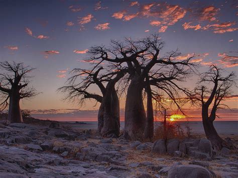 9 most beautiful places in Botswana | Mustseespots.com