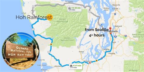 Hoh Rainforest Olympic National Park Map - 2 Travel Dads