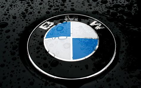 Hot cars: BMW logo bmw 2011 logo bmw logo png jpg