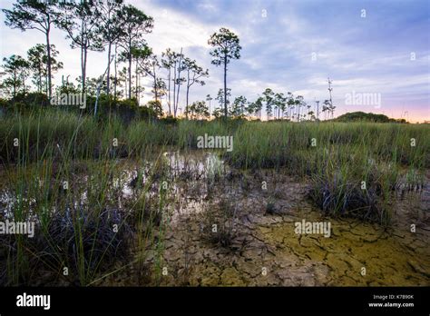 Everglades Sunset National Park lake reflections Stock Photo - Alamy