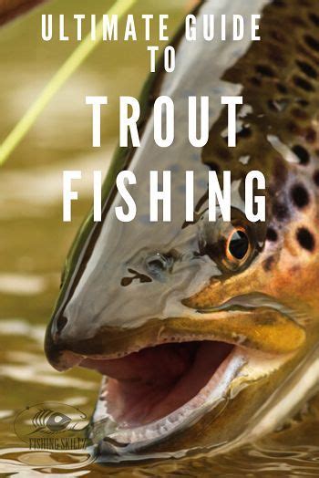 Trout fishing basics trout fishing tips and techniques for beginners ...