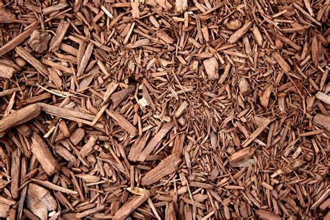 wood mulch - Google Search | Wood Types | Pinterest | Wood mulch