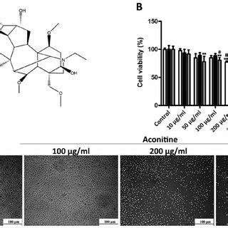 aconitine directly targets erβ. (a) 3d structure of aconitine. (B ...