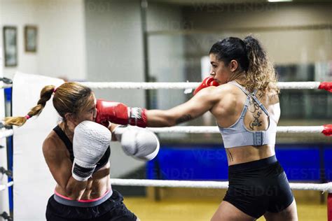 Female boxer hitting her opponent while sparring in the ring of a ...