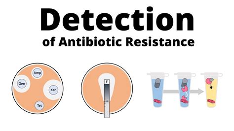 Detection Methods for Antibiotic Resistance - YouTube