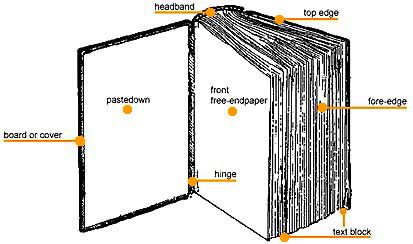 Book Anatomy (Parts of a Book) & Definitions - iBookBinding ...