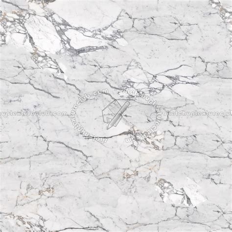 Slab marble white calacatta texture seamless 02601