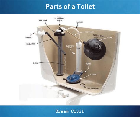 Parts Of A Toilet: With Parts Of Toilet Seat And Tank, 49% OFF