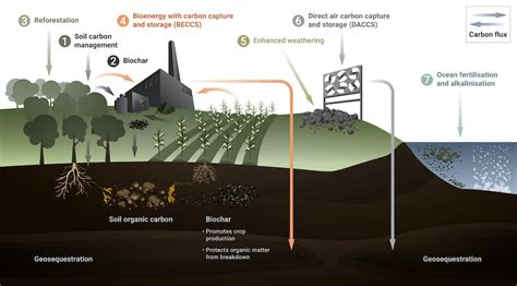 The Morrison government wants to suck CO₂ out of the atmosphere. Here ...