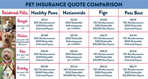 How To Sell Pet Insurance? - An Insurance Policy