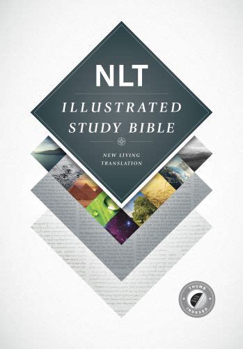 Bibles At Cost - Illustrated Study Bible NLT (Hardcover, Indexed ...