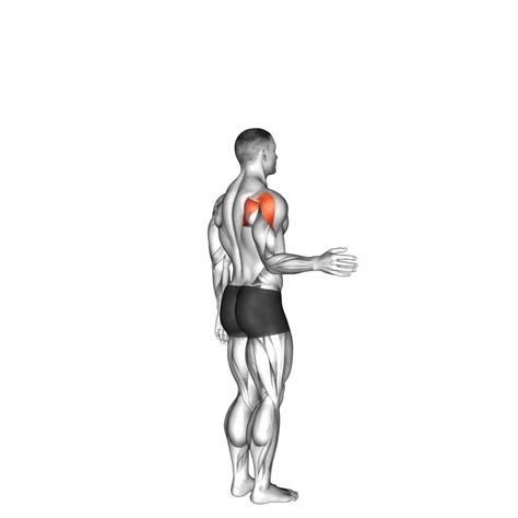 Shoulder Lateral Rotation: Video Guide & Tips