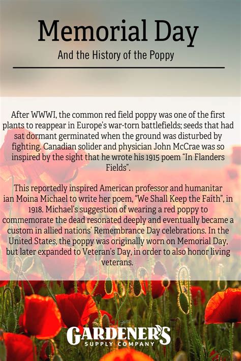 Memorial Day and the History of the Poppy in 2021 | Memorial day ...