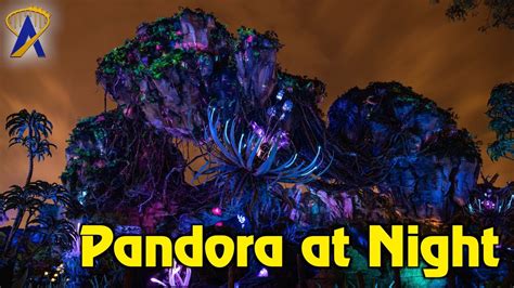 Pandora at Night - The World of Avatar at Disney's Animal Kingdom - YouTube